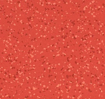 Линолеум Taralay Premium Compact Barazilia 4136 SAO LUIS фото 1 | FLOORDEALER